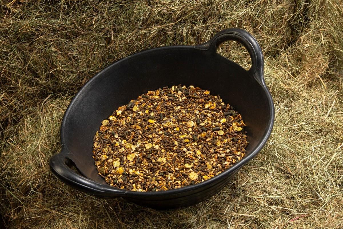 Spillers Shine+Conditioning mix 20kg