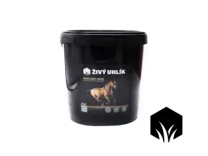 Živý Uhlík 11 l