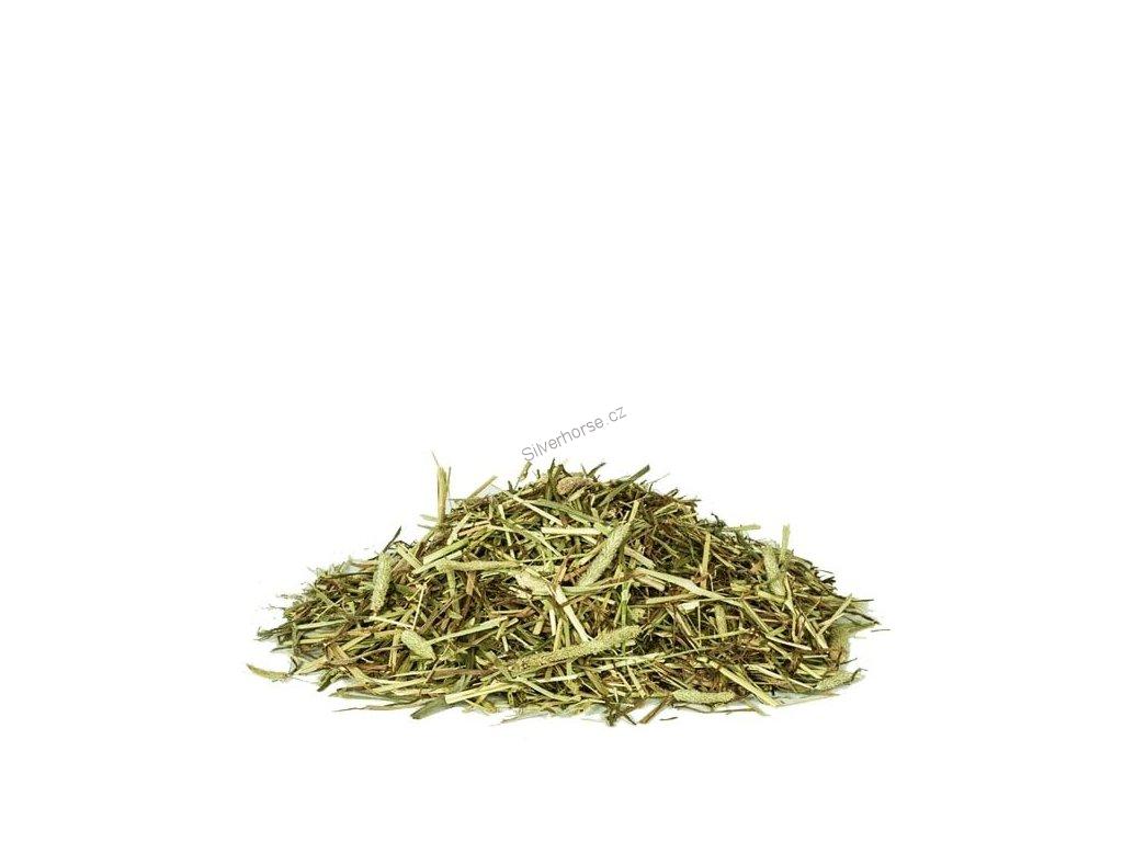 Derby Bojínek Luční-Timotheegras Pur, 15 kg