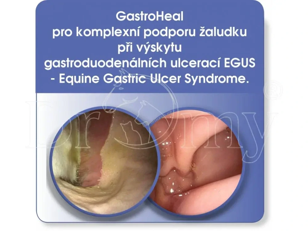 Dromy GastroHeal CONCENTRATE 3 kg 30 - 60 DENNÍCH DÁVEK