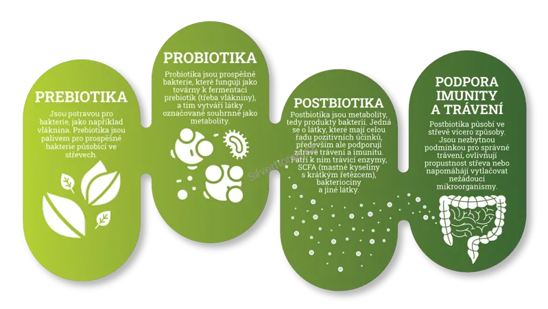 Precizní mikroby - postbiotika pro koně a hříbata 1000ml