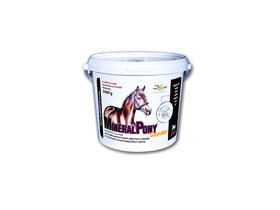 Mineralpony Senior 12kg