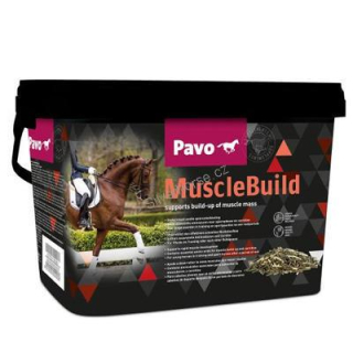 PAVO Muscle Build NEW 3kg
