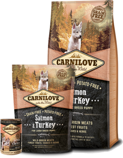 Carnilove Dog Salmon & Turkey for LB Puppies 12kg 