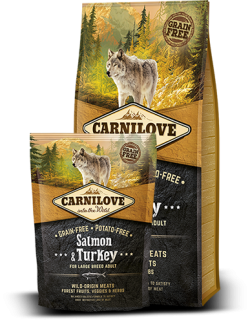 Carnilove Dog Salmon & Turkey for LB 12kg 