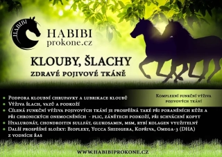 HABIBI - KLOUBY, ŠLACHY, VAZY, ZDRAVÉ POJIVOVÉ TKÁNĚ 0,75 kg