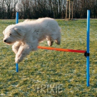 AGILITY překážka, 3 tyče 129x115cm