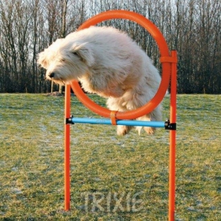 AGILITY kruh proskakovací