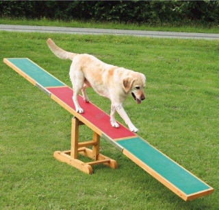 AGILITY houpačka/lávka 300x54x34cm max.do 80kg 