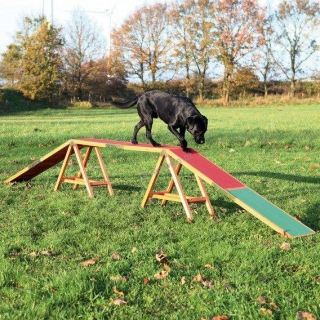 Dog Activity AGILITY nácviková lávka 456x64x30 cm