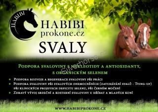 HABIBI - SVALY 2,2KG - 30 dní