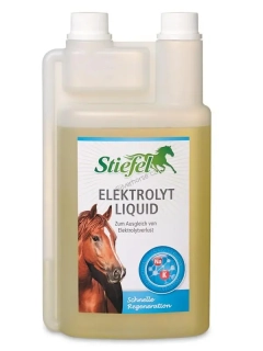 Stiefel Elektrolyt liquid 1l