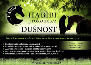 HABIBI speciální směs – DUŠNOST 3,5kg