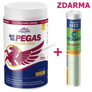 VITAR Veterinae ArtiVit Pegas MSM 720g