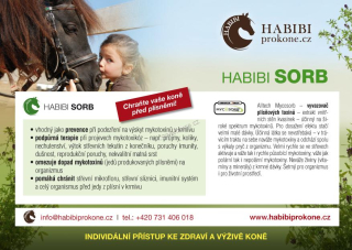 HABIBI - SORB 3,8 Kg