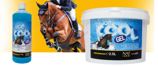 Ice cool gel, chladivý gel s minerály na unavené nohy, kyblík 1 l
