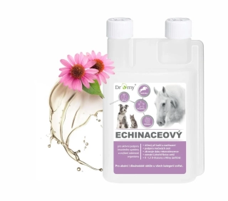 Dromy Echinaceový sirup 1 l