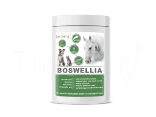 Dromy BOSWELLIA FORTE 750 g