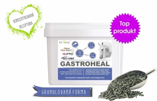 Dromy GastroHeal CONCENTRATE 3 kg 30 - 60 DENNÍCH DÁVEK