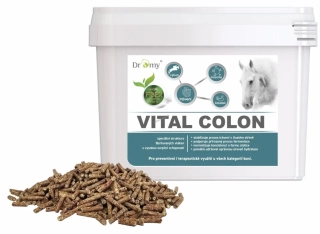 Dromy Vital Colon 3,3 kg
