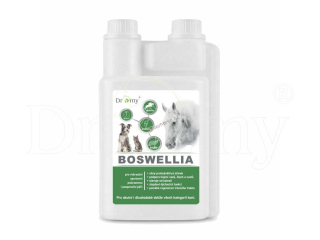 Dromy Boswellia liquid 1L