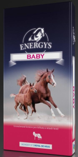 Energys Baby 25kg